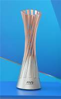 Fivb volleyball women’s world championship trophy